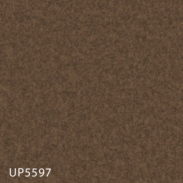 color chip