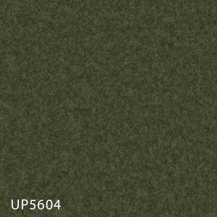 color chip