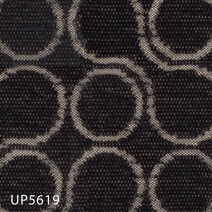 UP5619