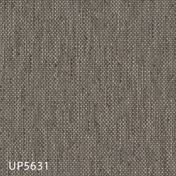 color chip