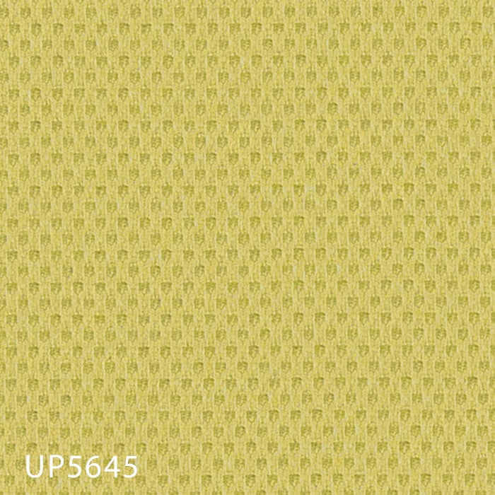 color chip