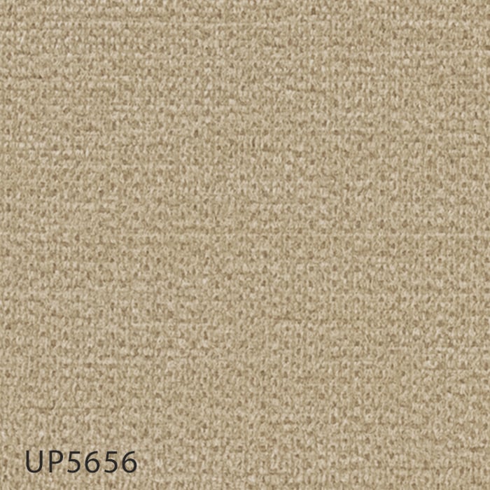 UP5656