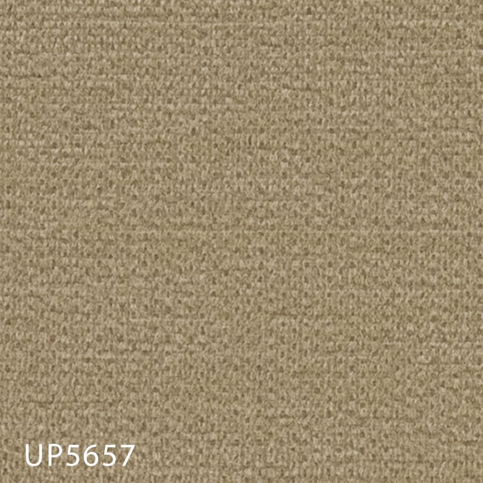 UP5657