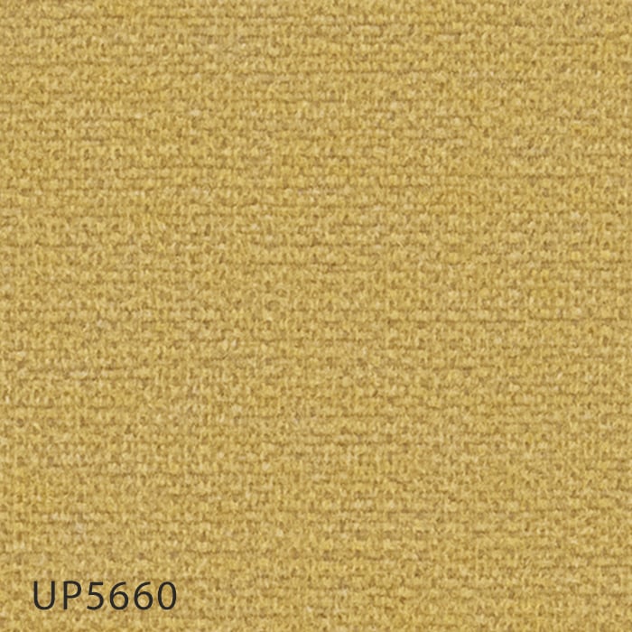 UP5660