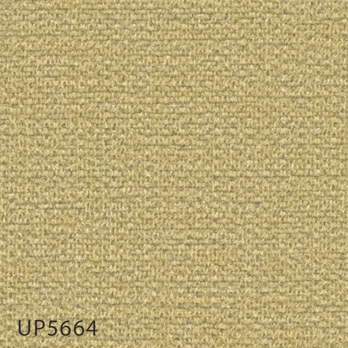 UP5664