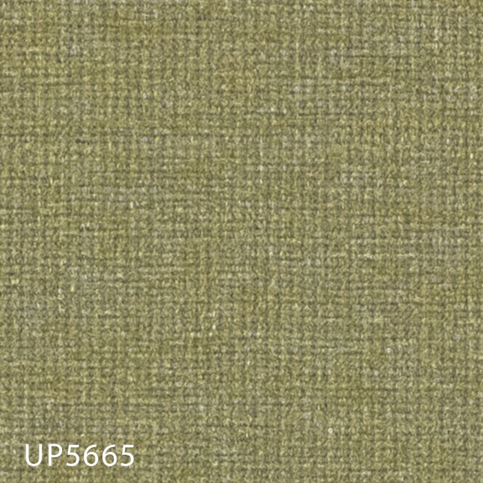 UP5665