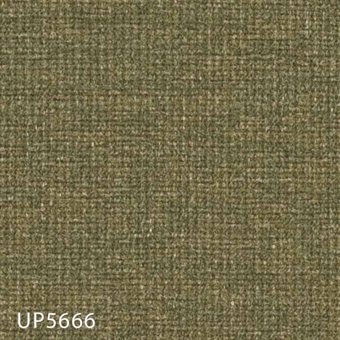 UP5666