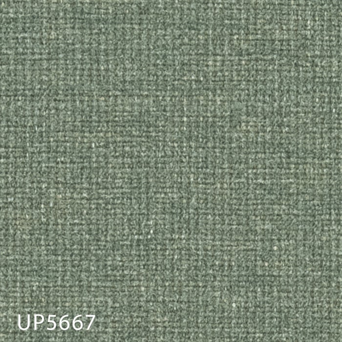 UP5667