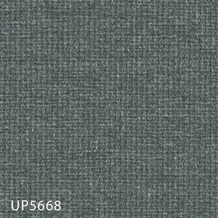 UP5668