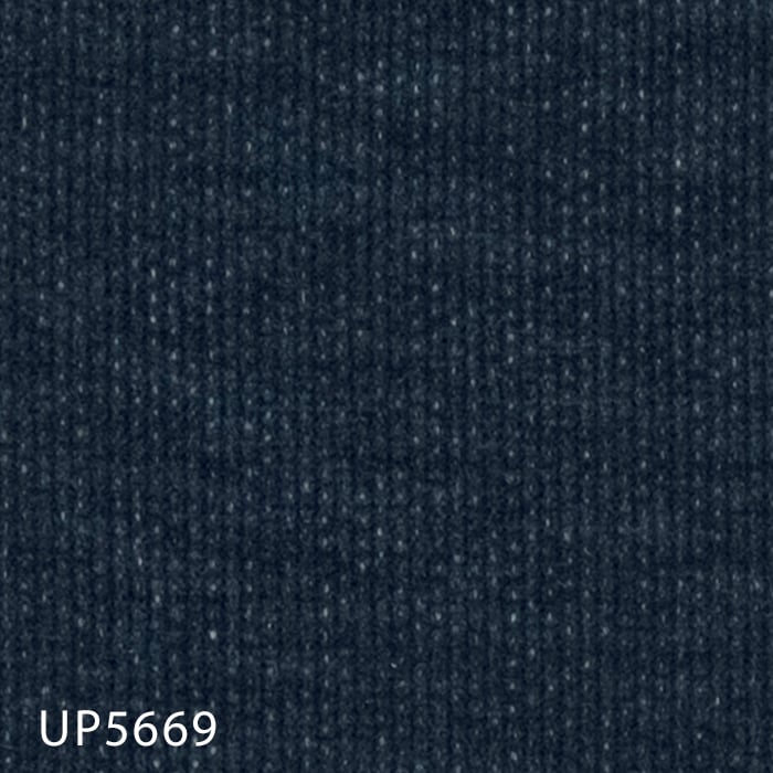 UP5669