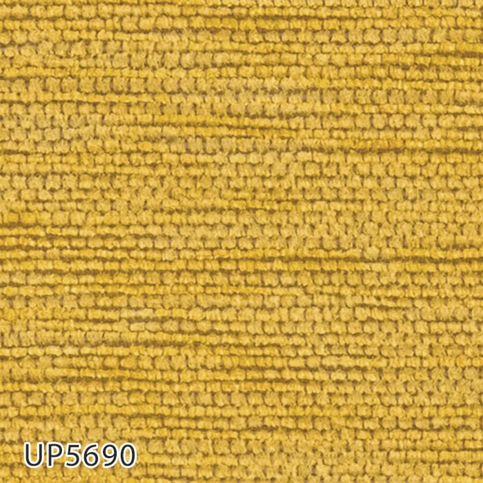 UP5690
