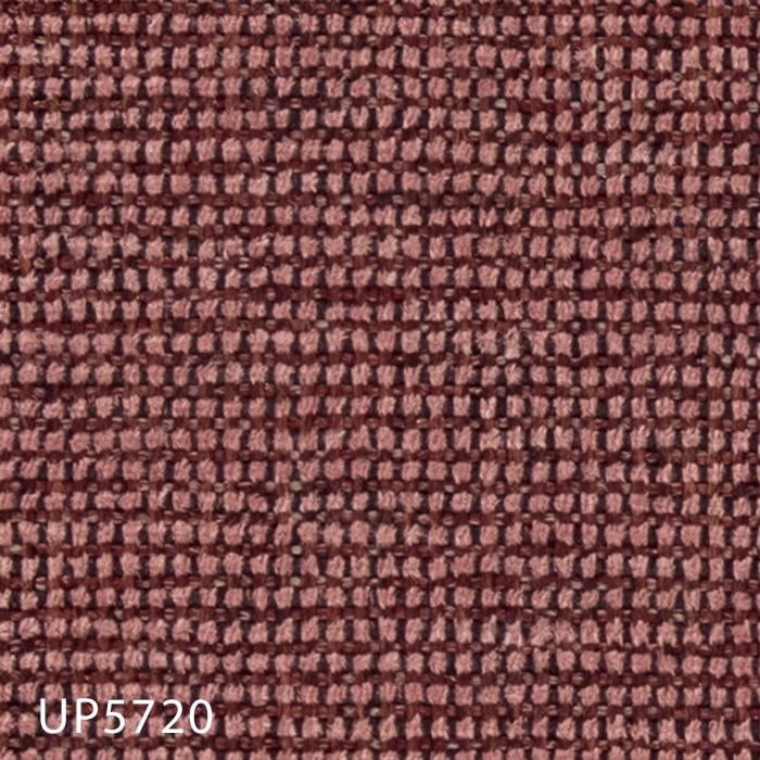 color chip