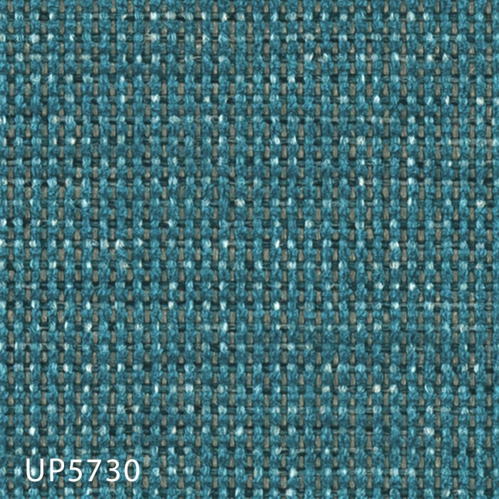 color chip