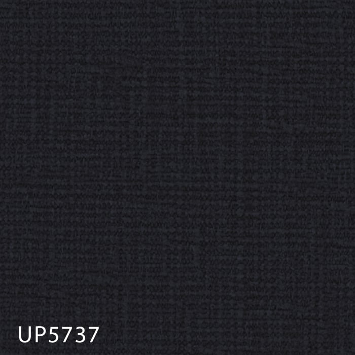 color chip
