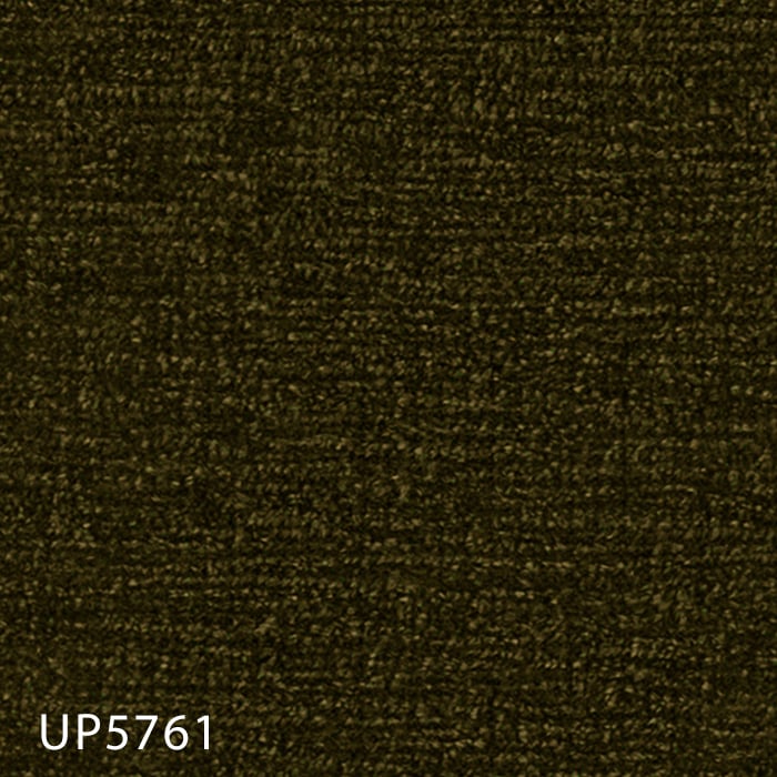 color chip