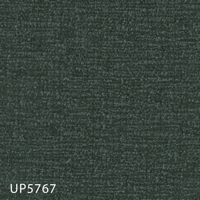 color chip