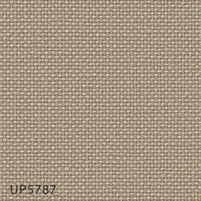 color chip