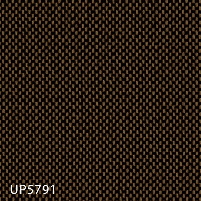 color chip
