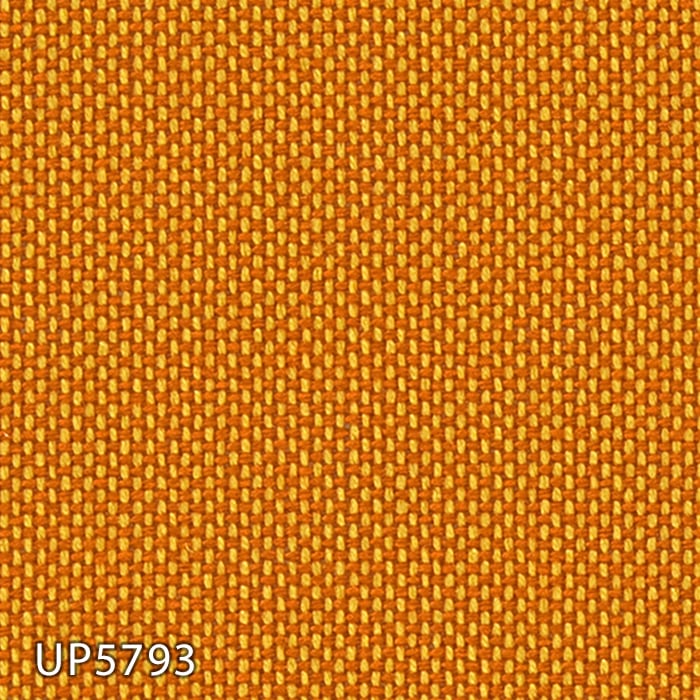 color chip