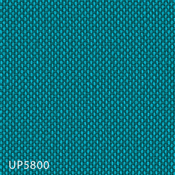 color chip