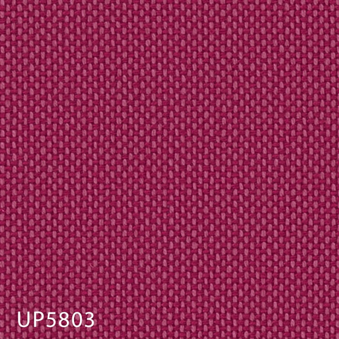 color chip