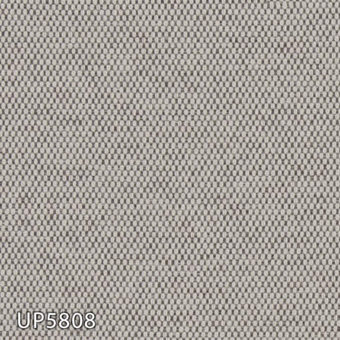 color chip