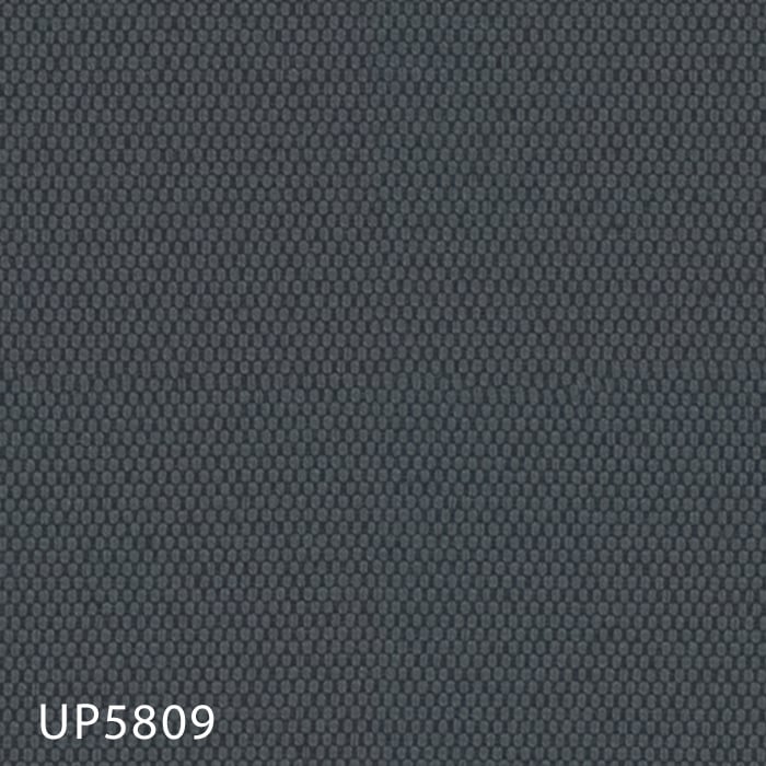 color chip