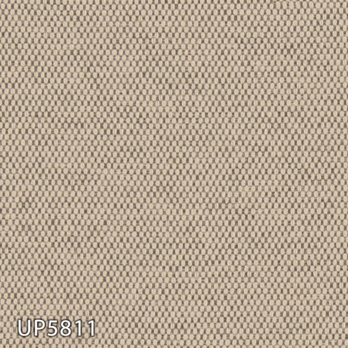 color chip