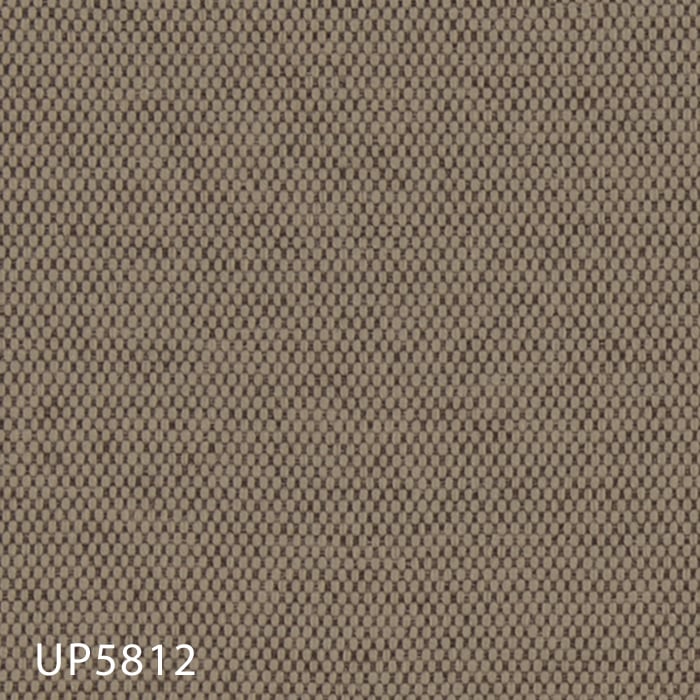 color chip