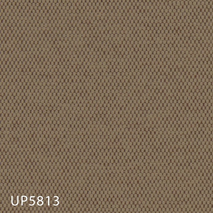 color chip