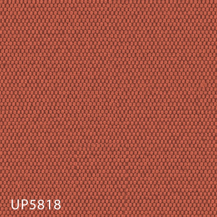 color chip