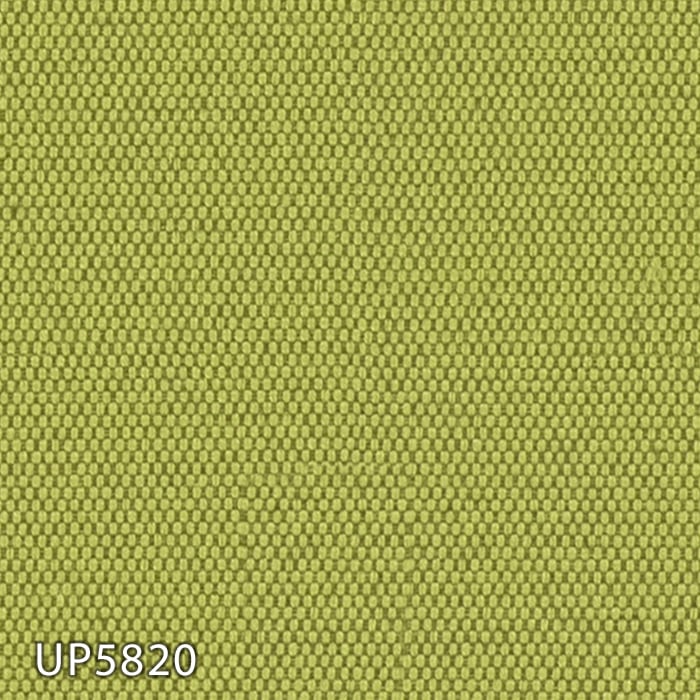 color chip