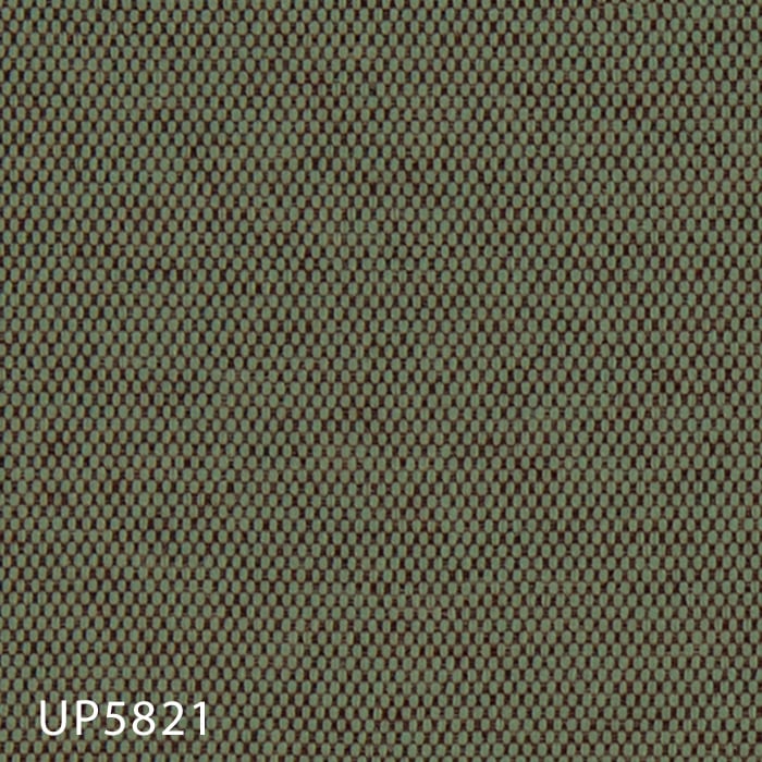 color chip
