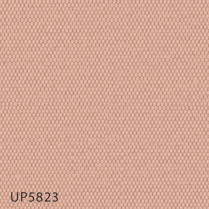 color chip