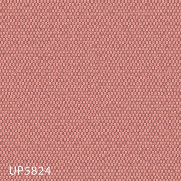 color chip