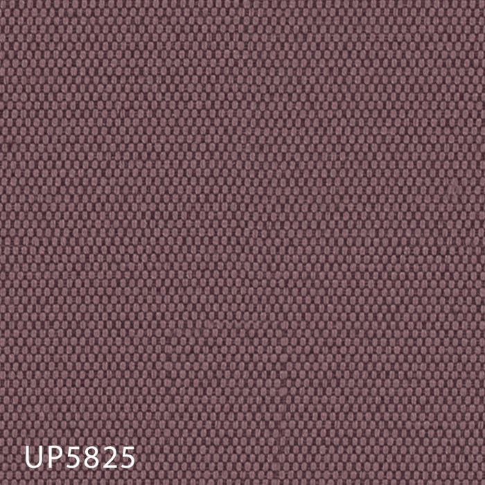 color chip