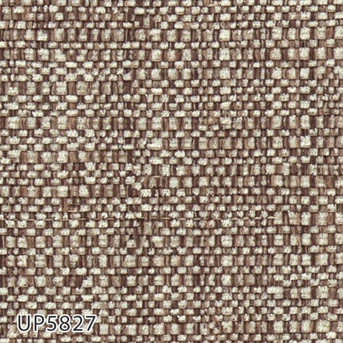 color chip