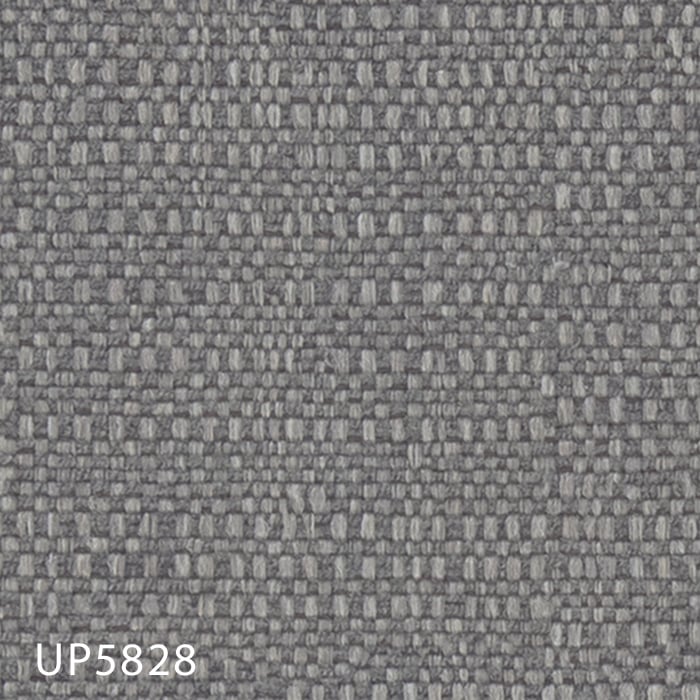 color chip