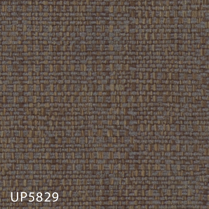 color chip