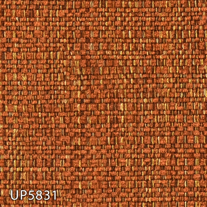 color chip