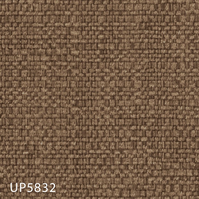 color chip