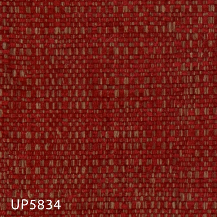 color chip