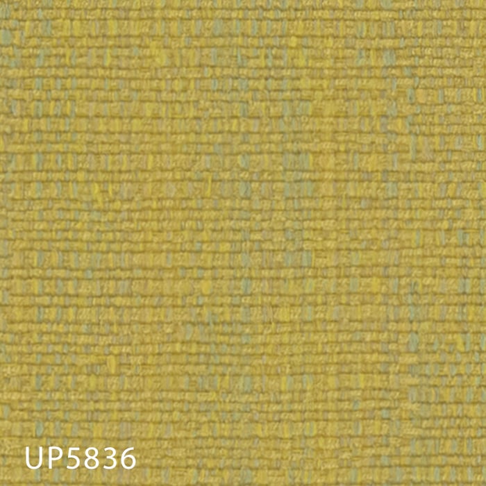 color chip