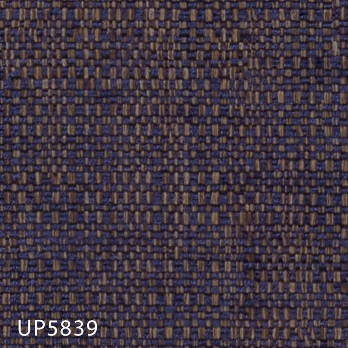 color chip