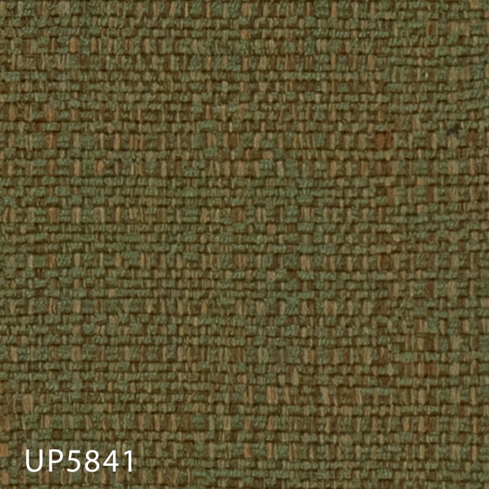 color chip