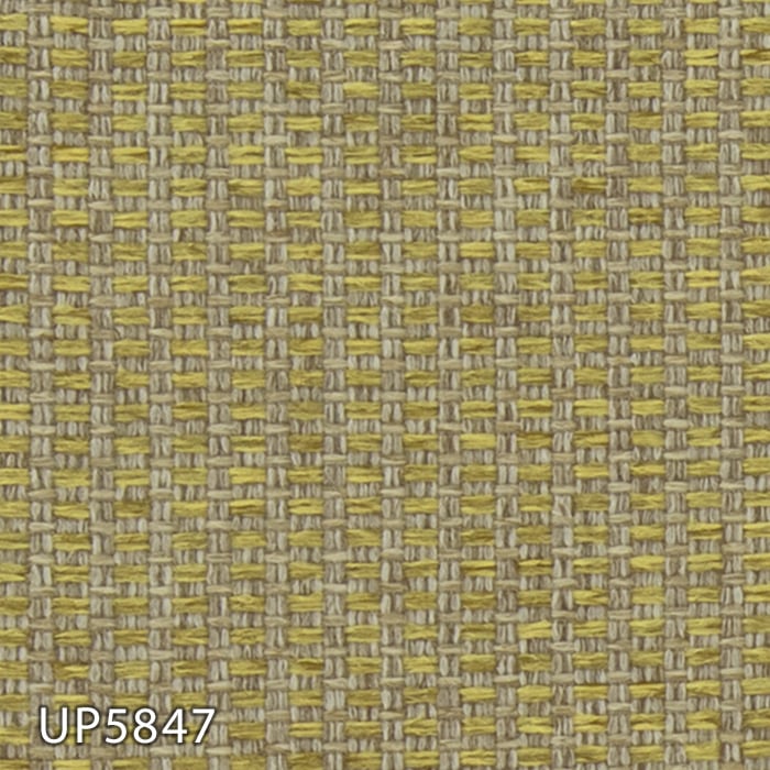 color chip