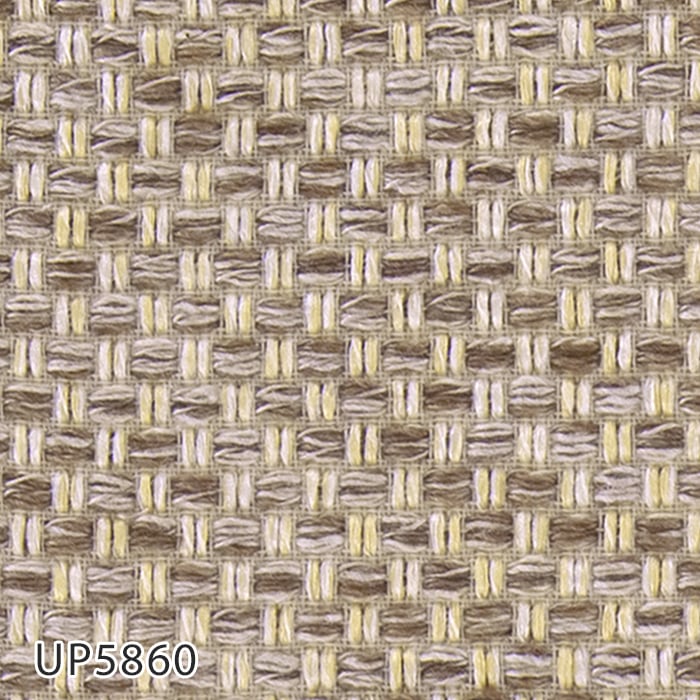 color chip
