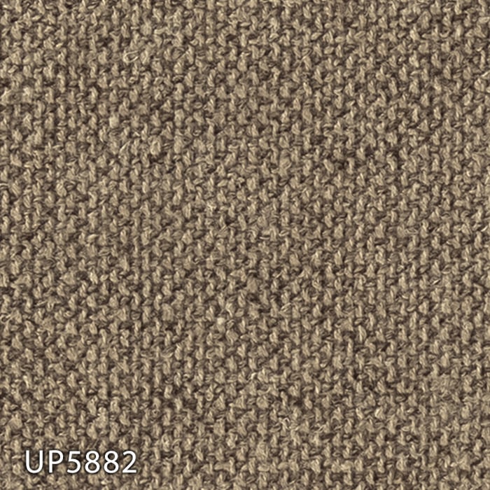 color chip