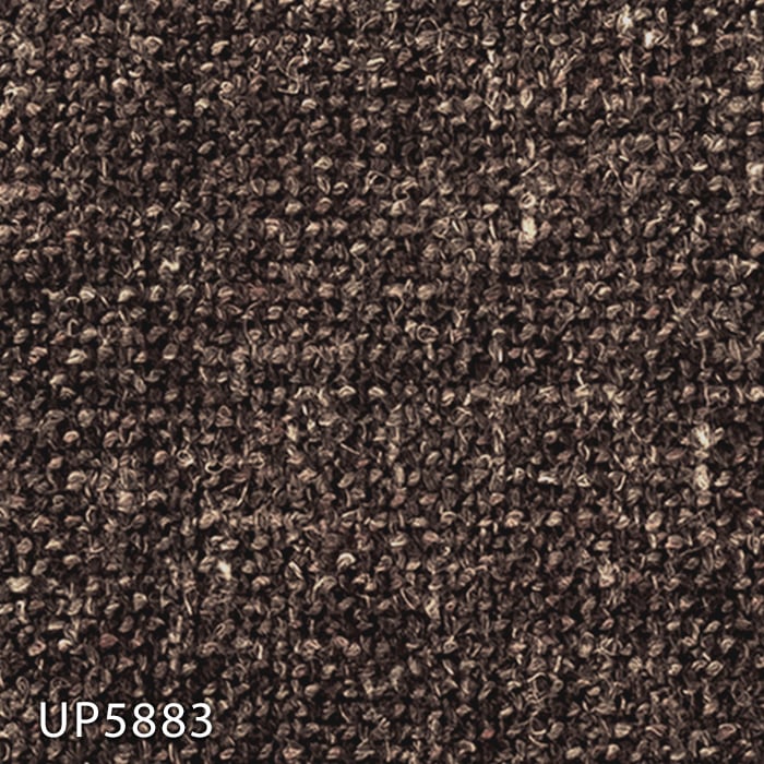 color chip