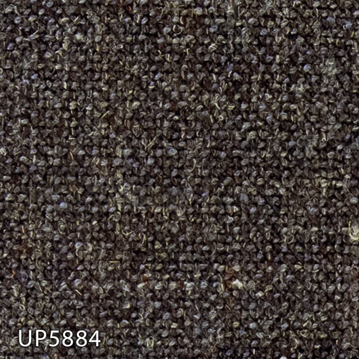 color chip